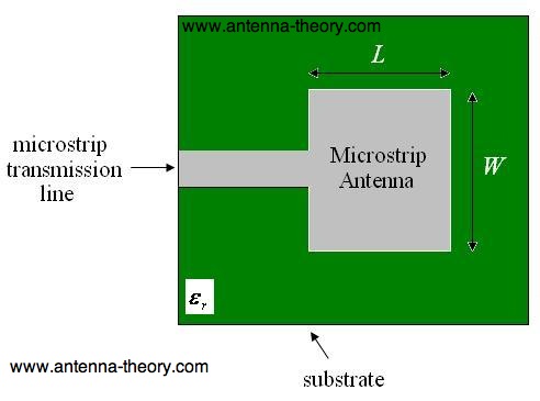 top view of patch or microstrip antenna